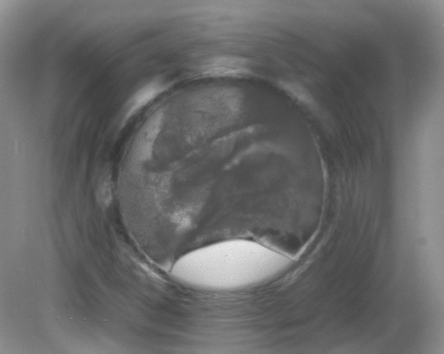 X0000083001306200702011444