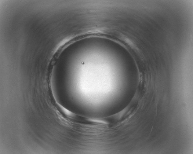 X0000083001308200702011444
