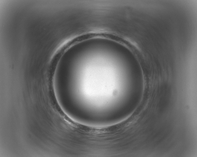 X0000083001311200702011444