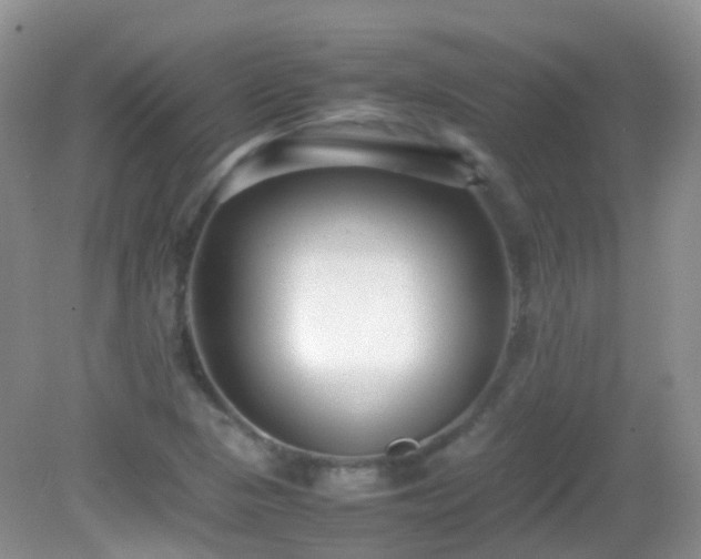 X0000083001313200702011444