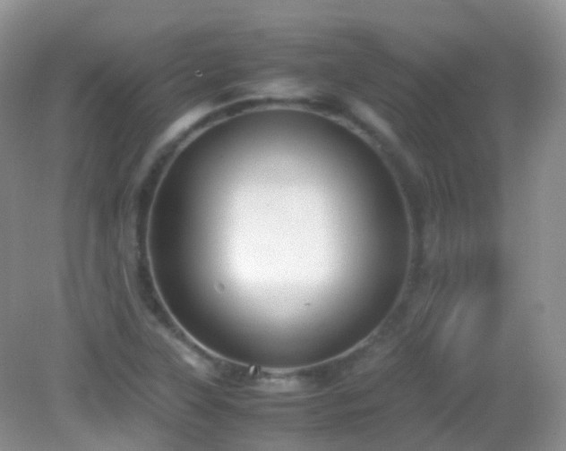 X0000083001315200702011444