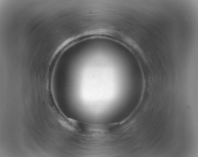 X0000083001316200702011444