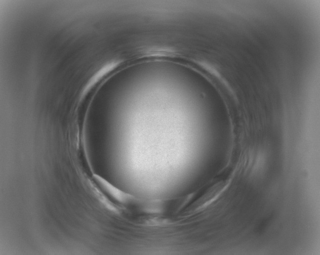 X0000083001317200702011444
