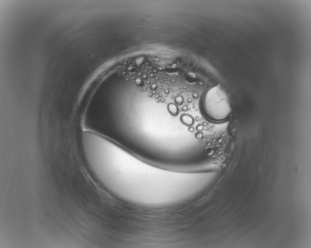 X0000083001318200702011444