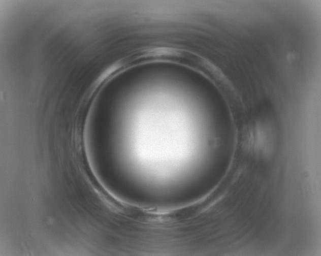 X0000083001321200702011445