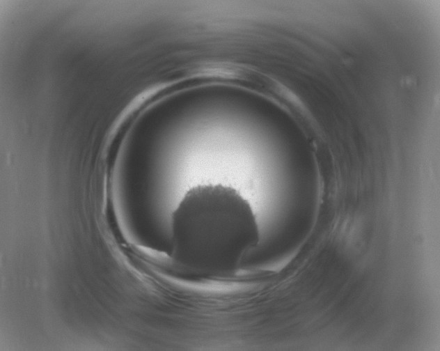 X0000083001323200702011445
