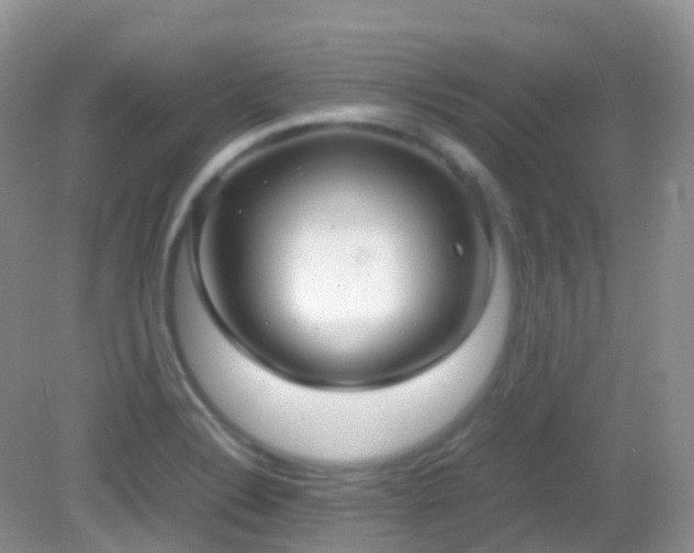 X0000083001324200702011445