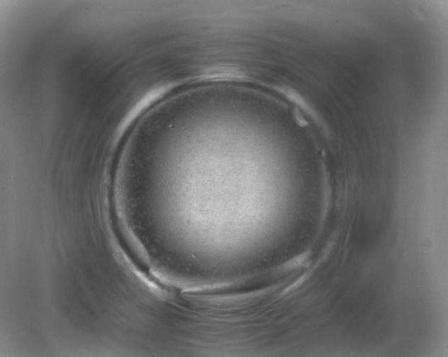 X0000083001325200702011445