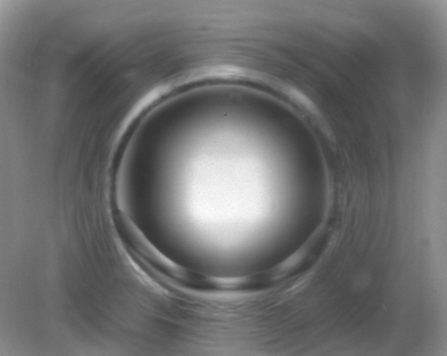 X0000083001326200702011445