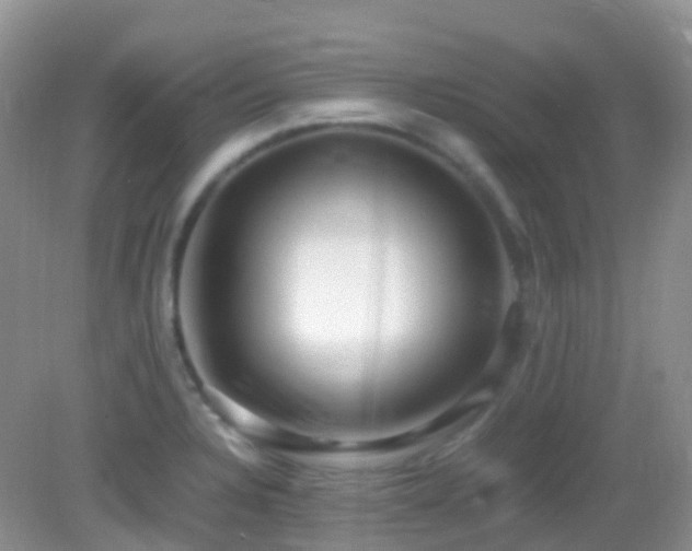 X0000083001328200702011445