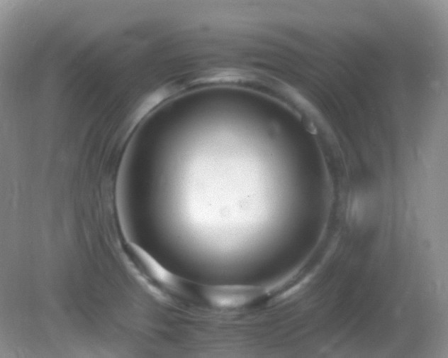 X0000083001329200702011445