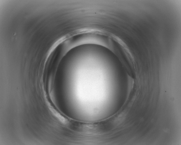 X0000083001330200702011445