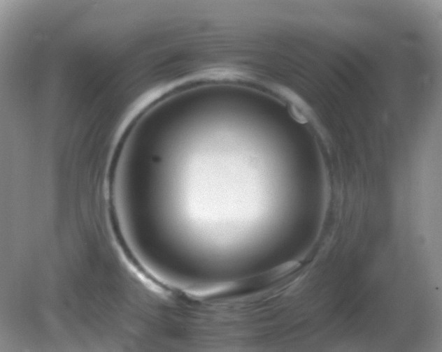 X0000083001335200702011445