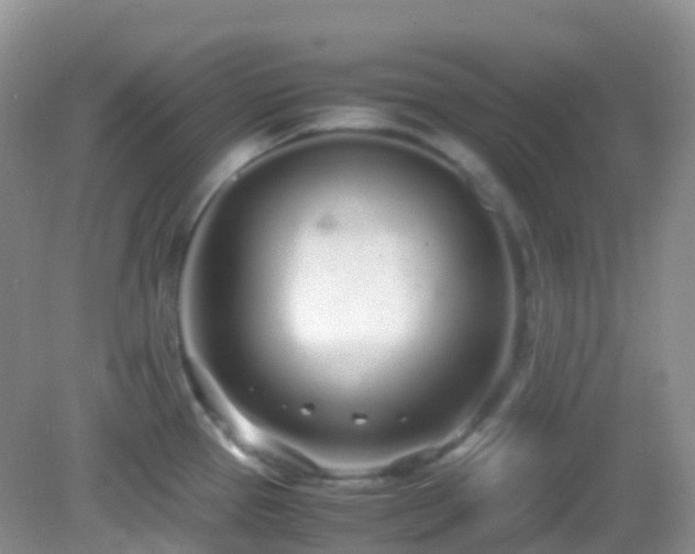 X0000083001337200702011445