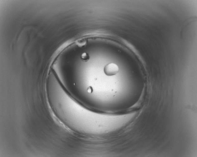 X0000083001338200702011445