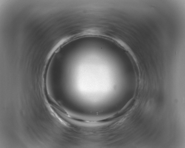 X0000083001341200702011445
