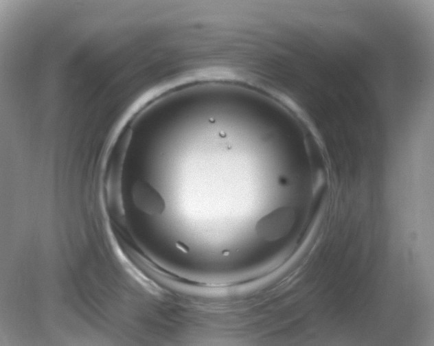 X0000083001342200702011445