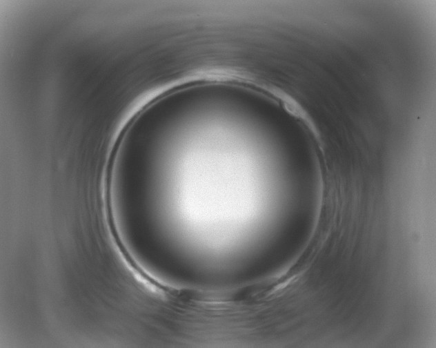 X0000083001343200702011445