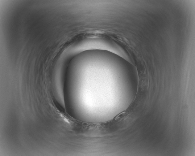 X0000083001345200702011444