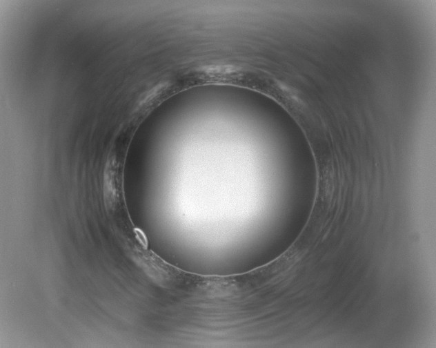 X0000083001346200702011444