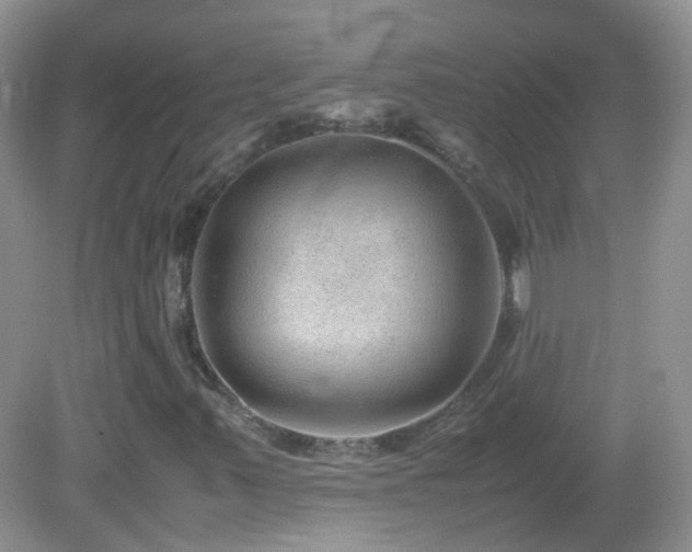 X0000083001347200702011444