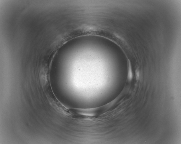 X0000083001348200702011444