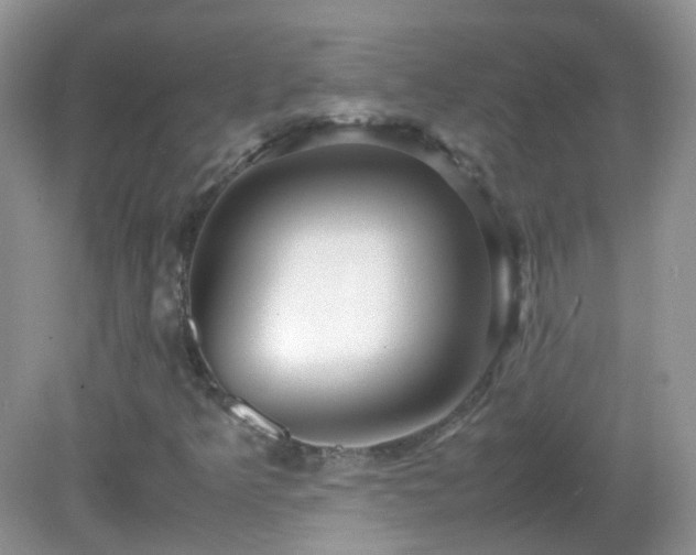 X0000083001349200702011444