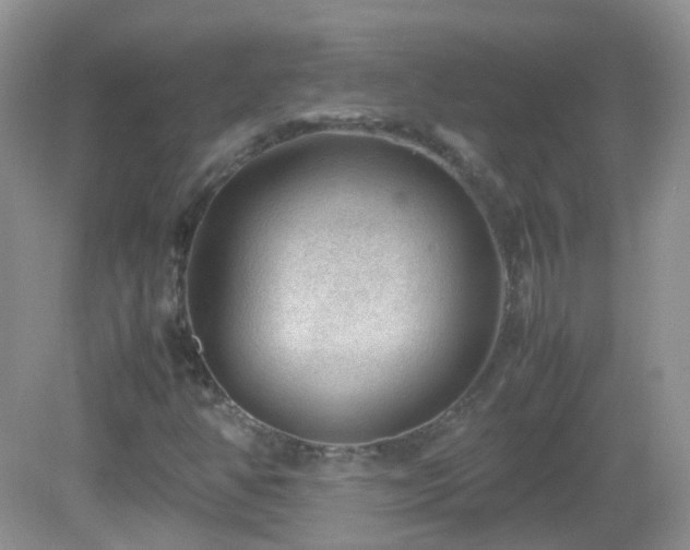 X0000083001350200702011444