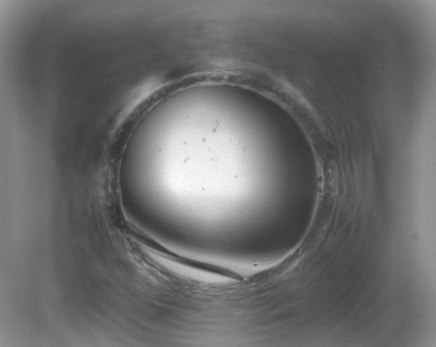 X0000083001352200702011444