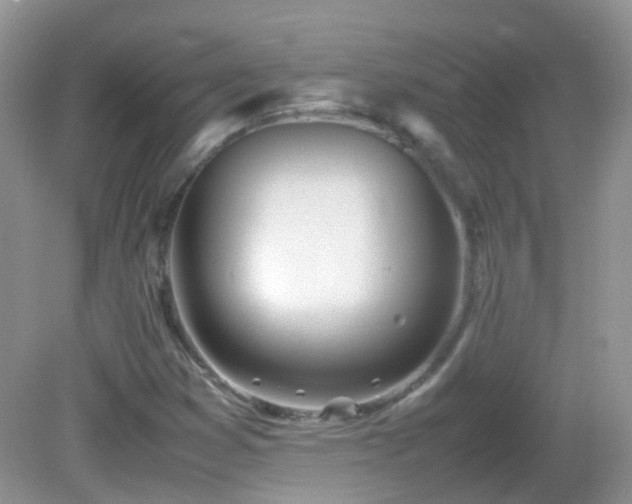 X0000083001353200702011444