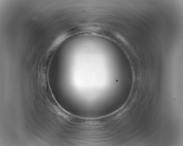 X0000083001354200702011444
