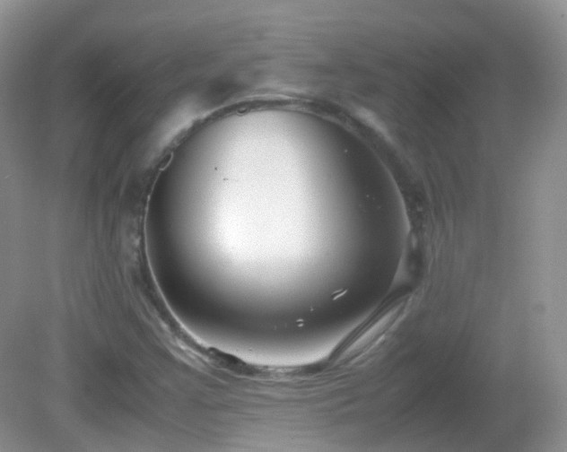 X0000083001355200702011444