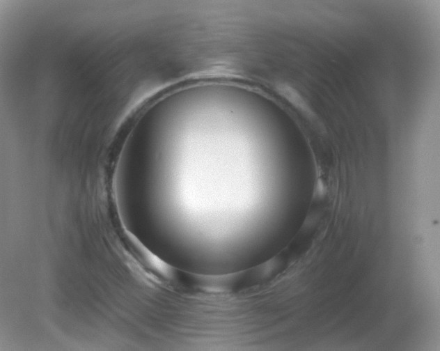 X0000083001356200702011444