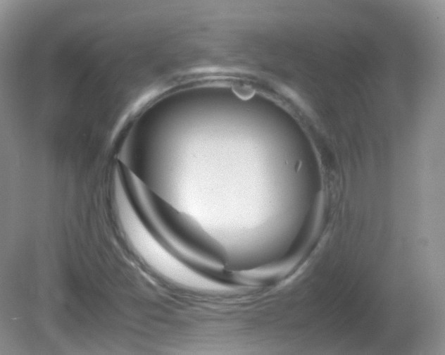 X0000083001357200702011444