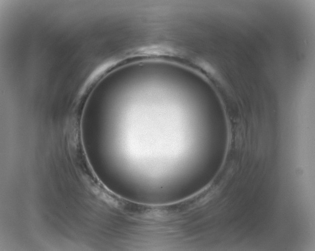 X0000083001358200702011444