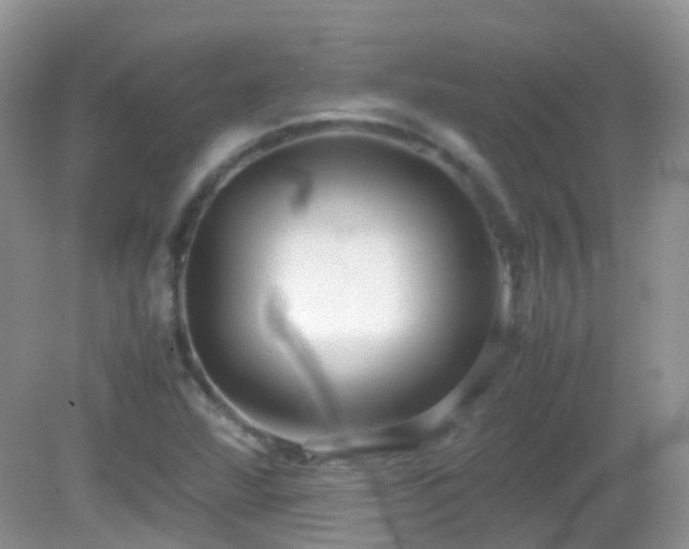 X0000083001360200702011444