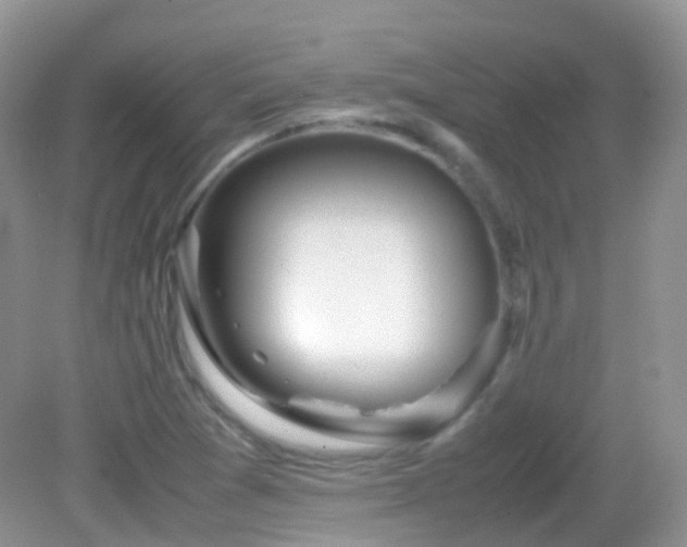 X0000083001361200702011444