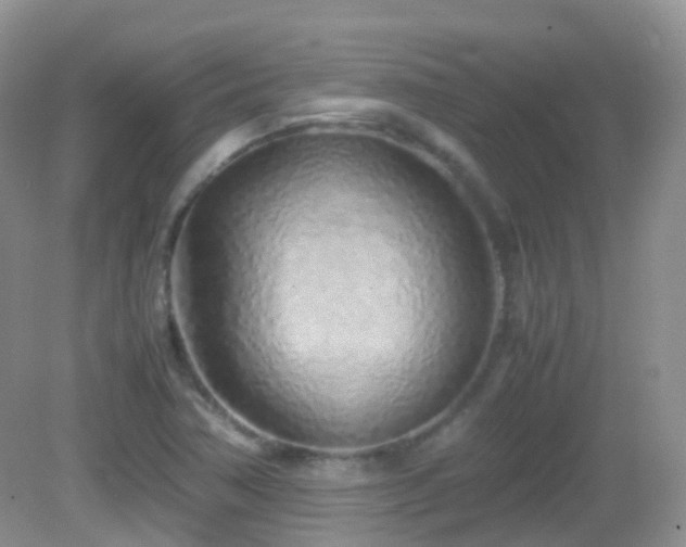 X0000083001362200702011444