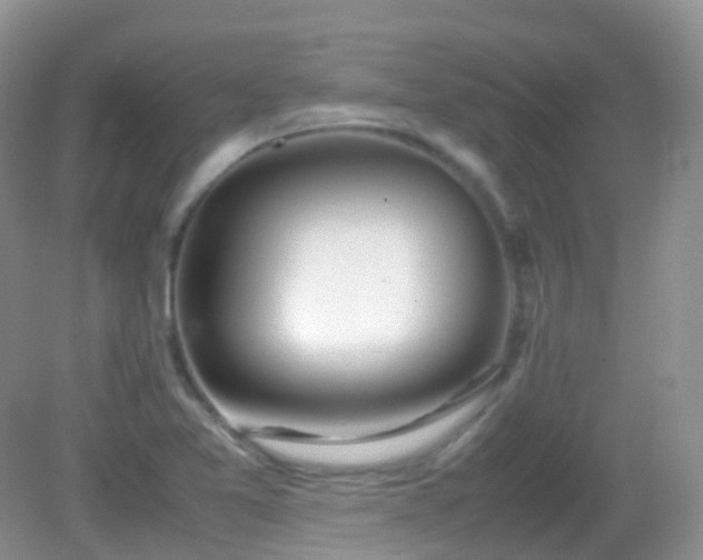 X0000083001365200702011444