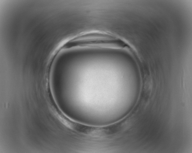 X0000083001367200702011444