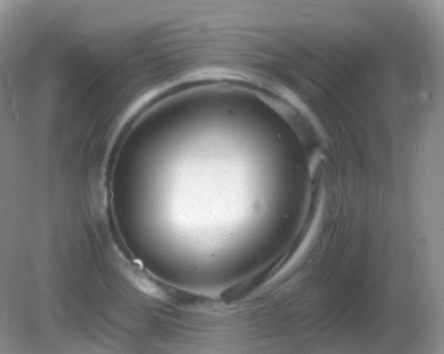 X0000083001372200702011444