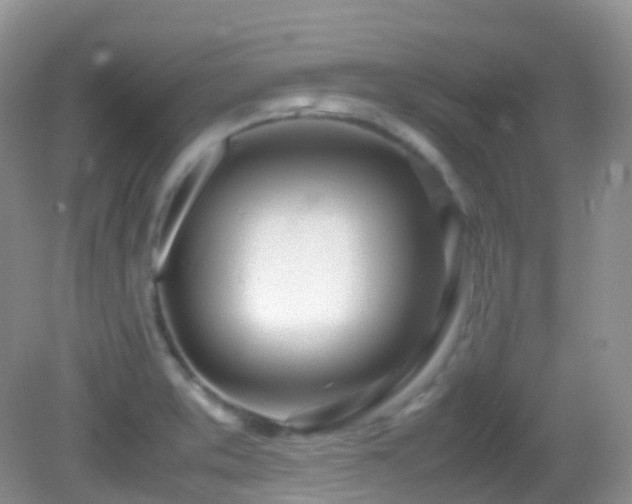 X0000083001373200702011444