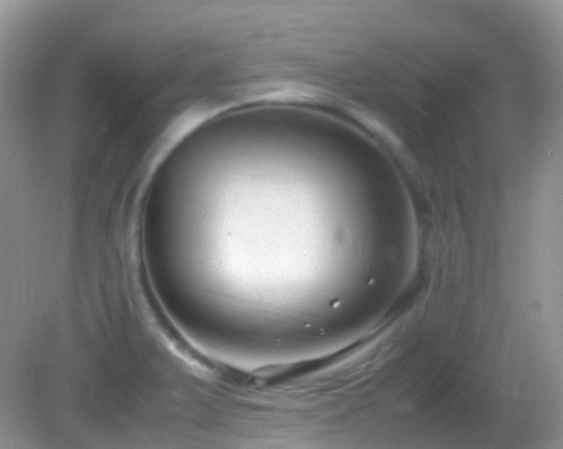 X0000083001375200702011444