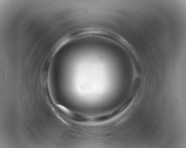 X0000083001377200702011444