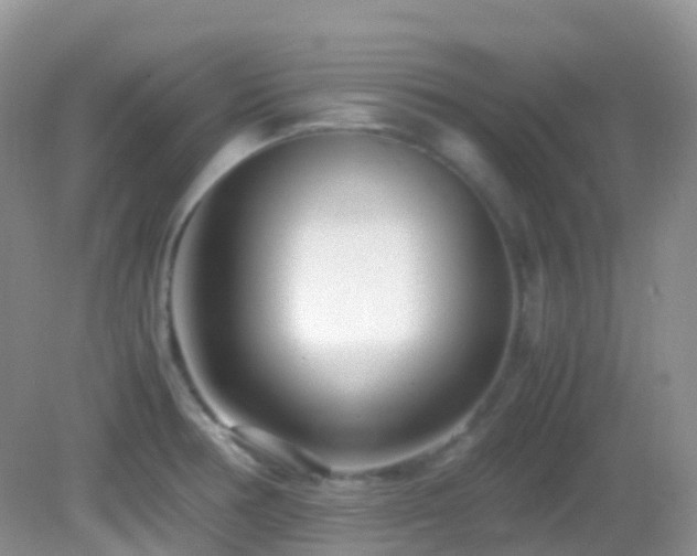 X0000083001378200702011444