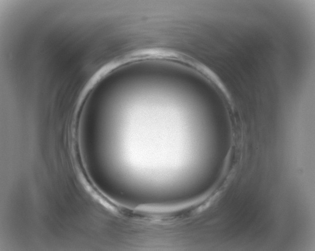 X0000083001381200702011443