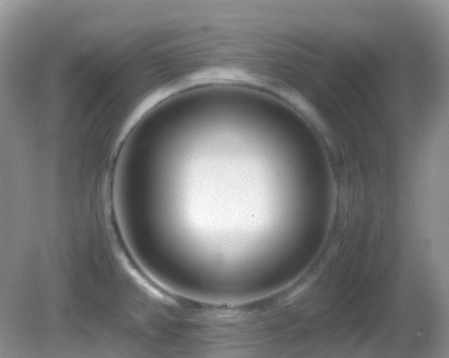 X0000083001382200702011443