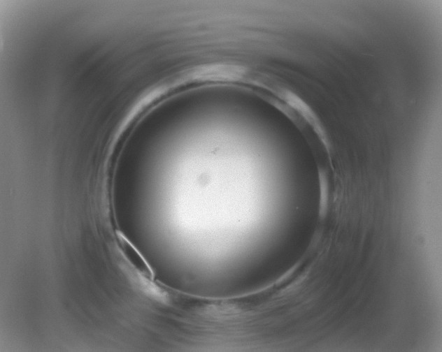 X0000083001384200702011443