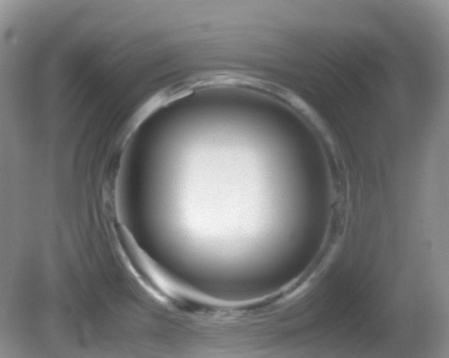 X0000083001385200702011443
