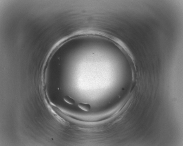 X0000083001388200702011443